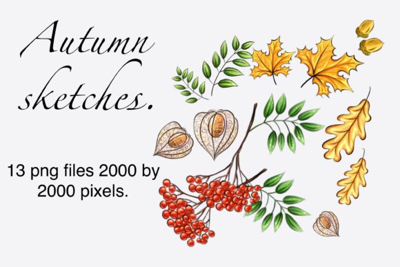 Download Autumn Sketches. - Autumn Collection