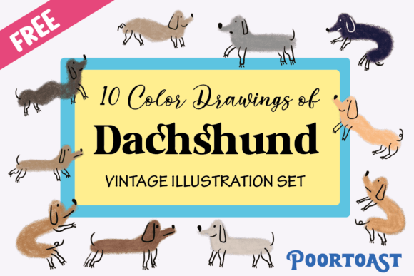 Download Cute Dog Dachshund 10 Clipart - Dachshund Collection