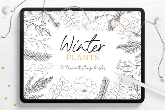 Download Winter Plants Procreate Stamp Brushes - Stamp brushes Collection